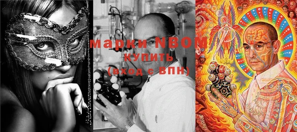 шишки Балахна
