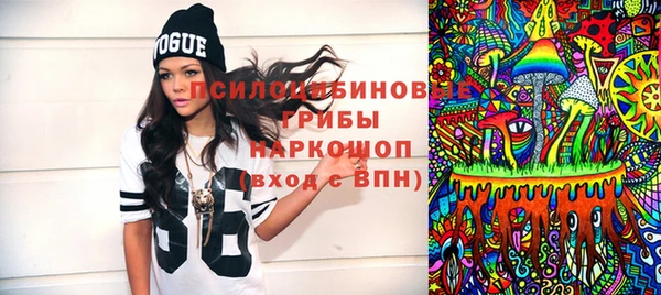 шишки Балахна