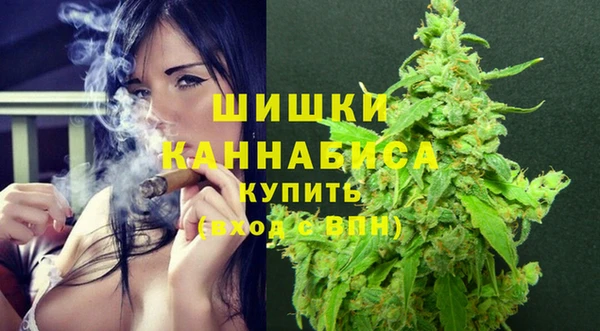 шишки Балахна