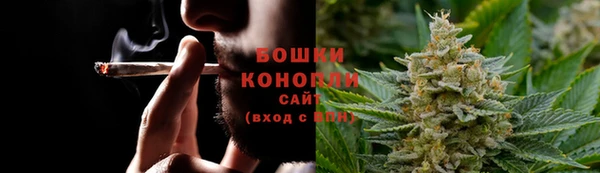 шишки Балахна