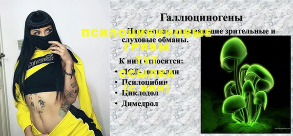 MESCALINE Баксан