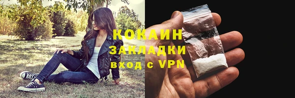 шишки Балахна