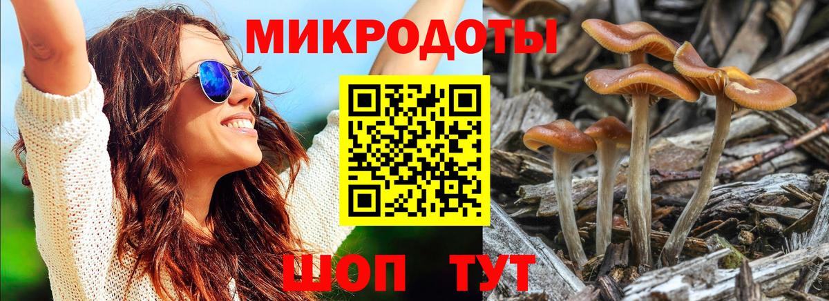 Ульяновск  Псилоцибиновые грибы Magic Shrooms  Вход с VPN 
