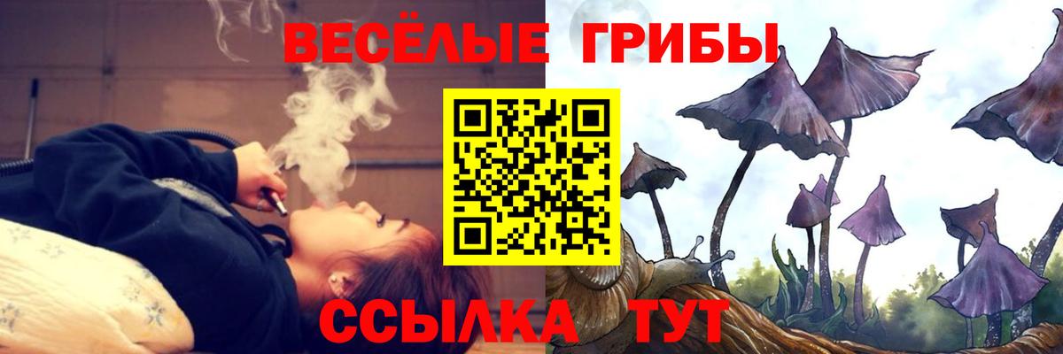 Псилоцибиновые грибы GOLDEN TEACHER Ульяновск
